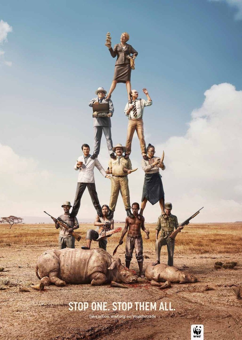 Social advertising from WWF - WWF, Advertising, Animal protection, Poachers, Animals, Longpost