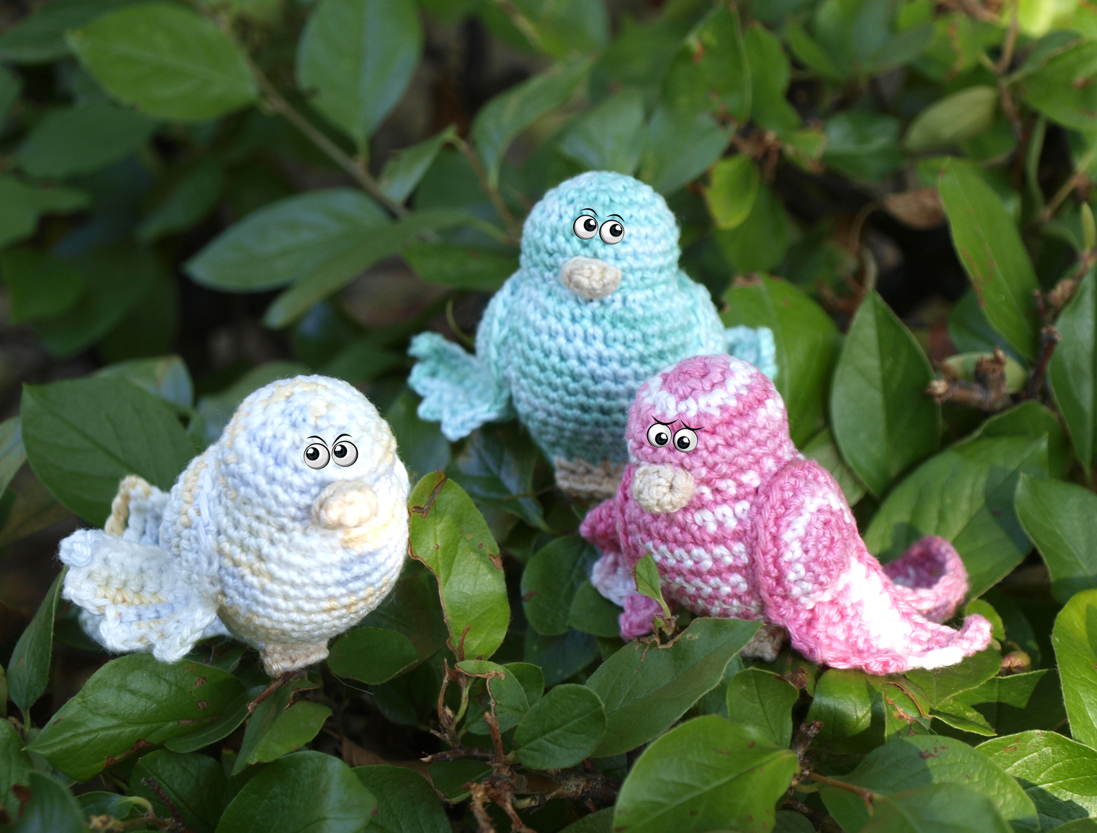 small birds - My, Crochet, Birds, With your own hands, Needlework without process, Longpost