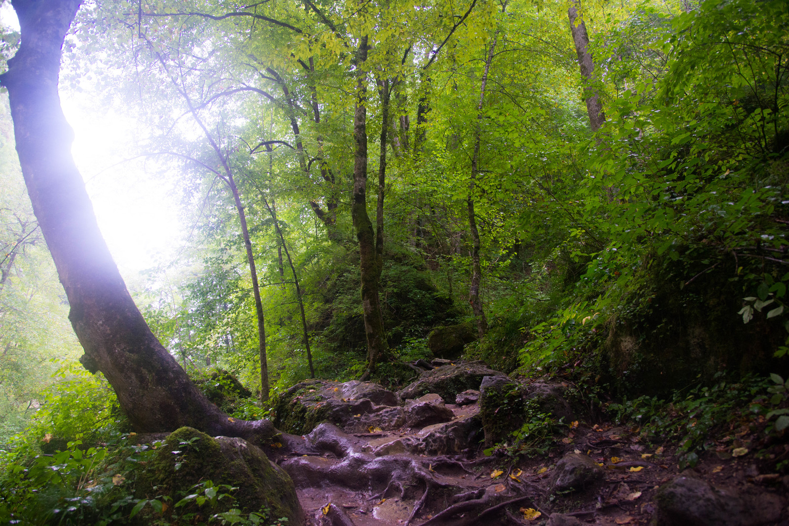 Nature of the Krasnodar Territory. Rufabgo waterfalls. - My, Nature, The mountains, Waterfall, Relaxation, Summer, Краснодарский Край, Forest, Longpost, Republic of Adygea