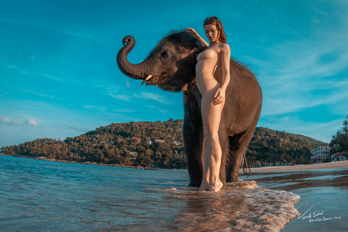 Tay Time - NSFW, My, Thailand, Elephants, Water, Naked, Longpost, Video, Professional shooting