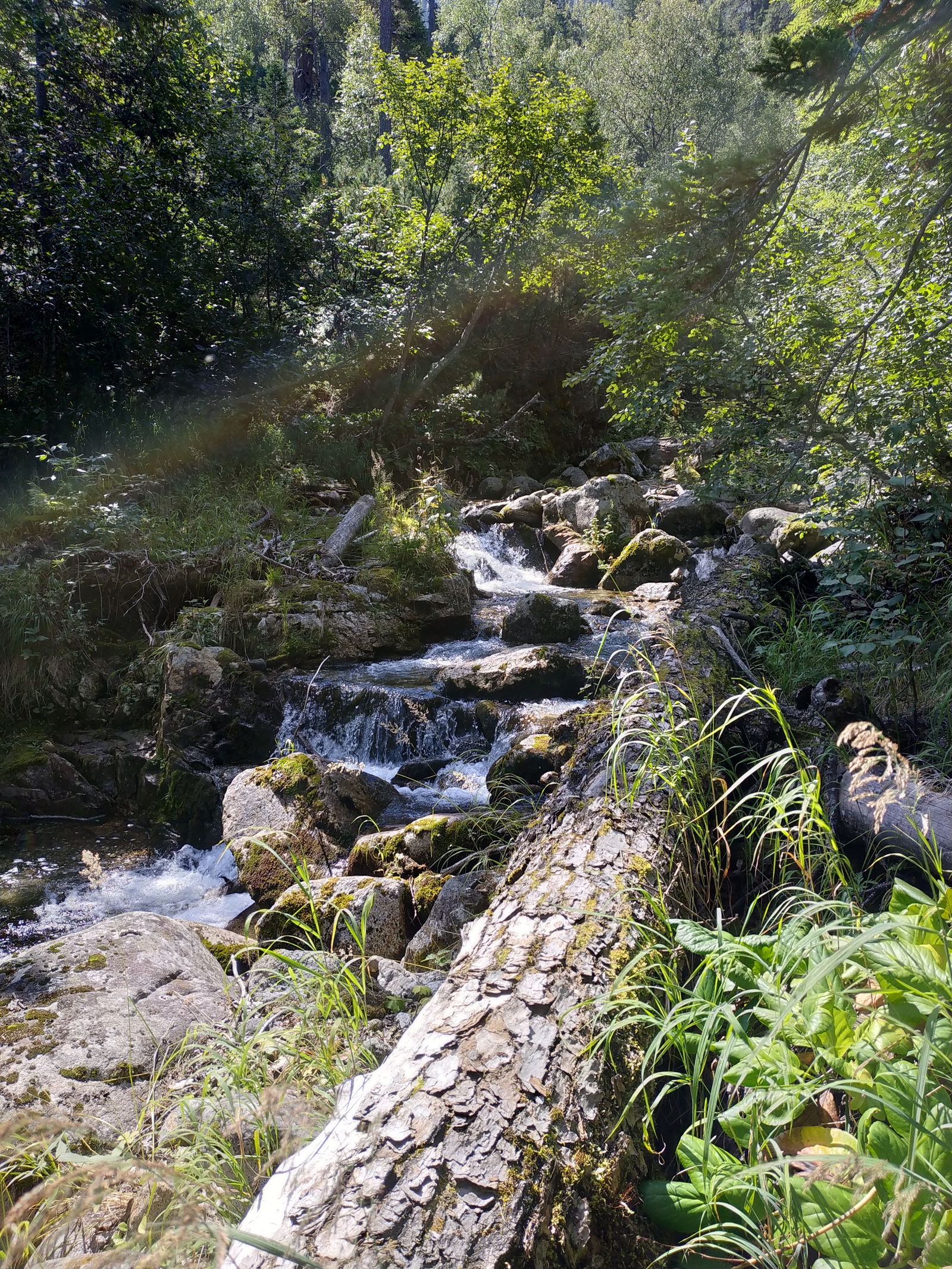 Trekking to Lake Sobolinoye (Republic of Buryatia) - My, Longpost, Lake, Buryatia, , Story, 