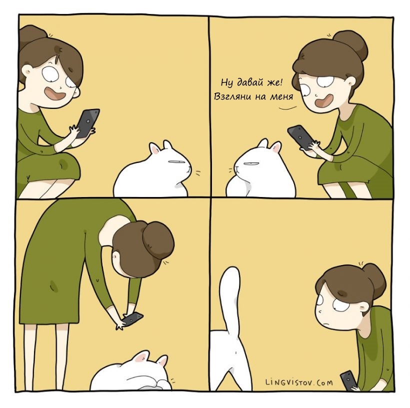 Typical life with a cat part 2 - cat, Comics, Milota, Vital, Translated by myself, Longpost