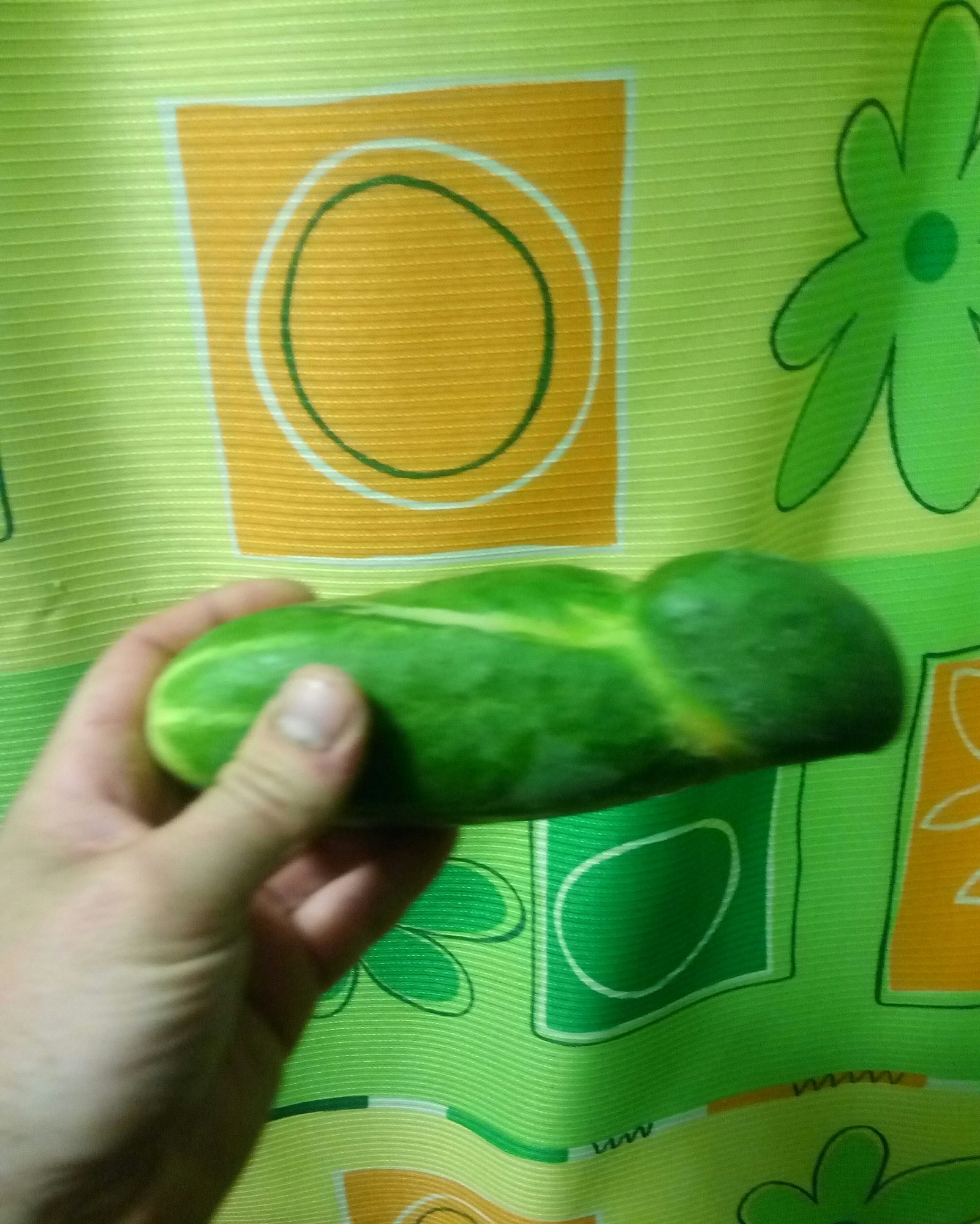 cucumber pee - My, Vegetables, Garden, Penis