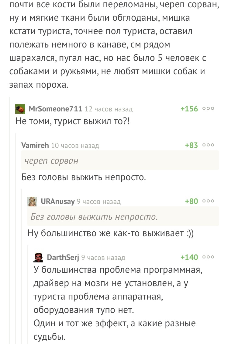 Comments - Comments on Peekaboo, Bear, Туристы, Screenshot, The Bears