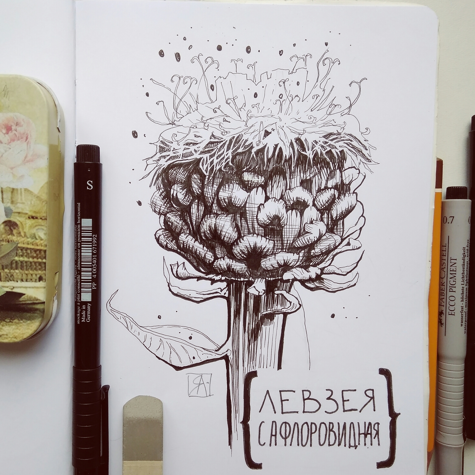 Leuzea safflower - My, Plants, Leuzea safflower, Flowers, Sketch, Sketchbook, Drawing, Sayan, Marker, Longpost