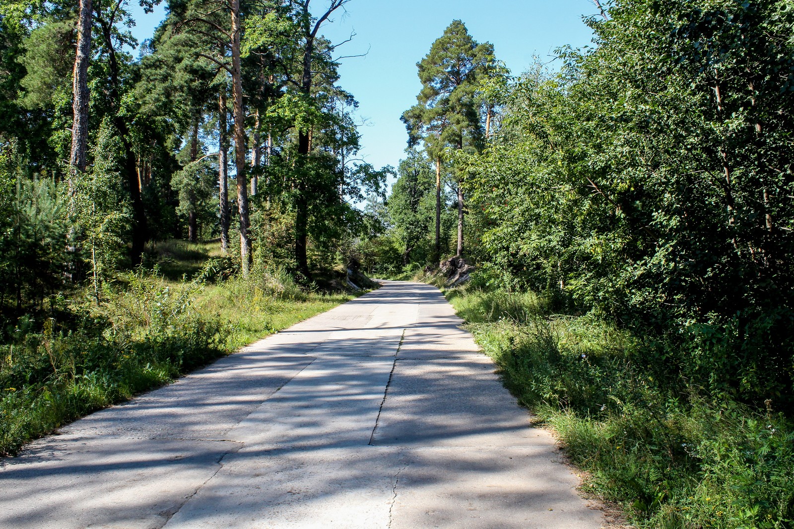 Bike ride - My, Longpost, Nature, The photo, Dzerzhinsk, Canon 1300d, Bike ride