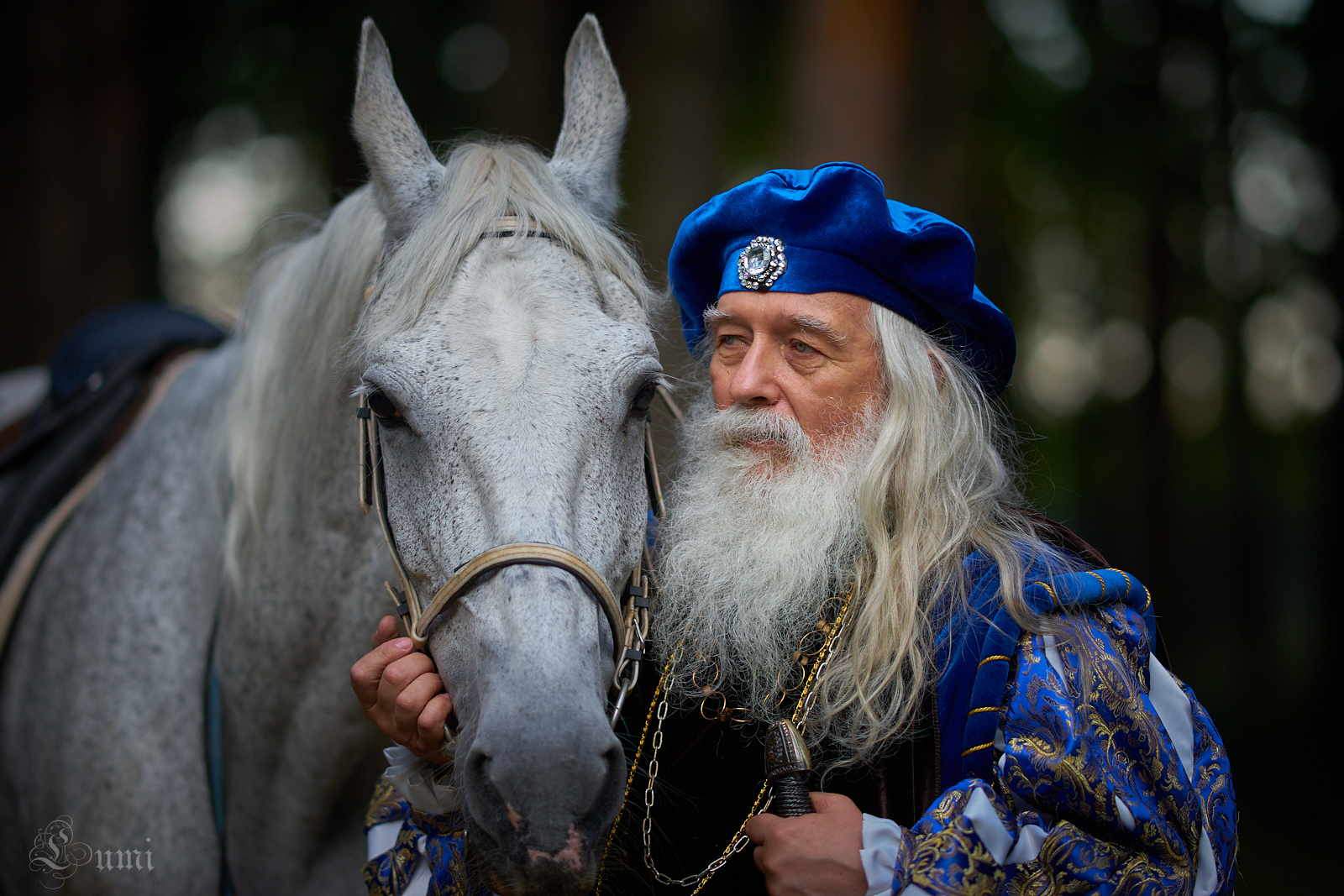 In the forest near Krasnogorsk. - My, Photo project, Magus, King, Horses, Longpost