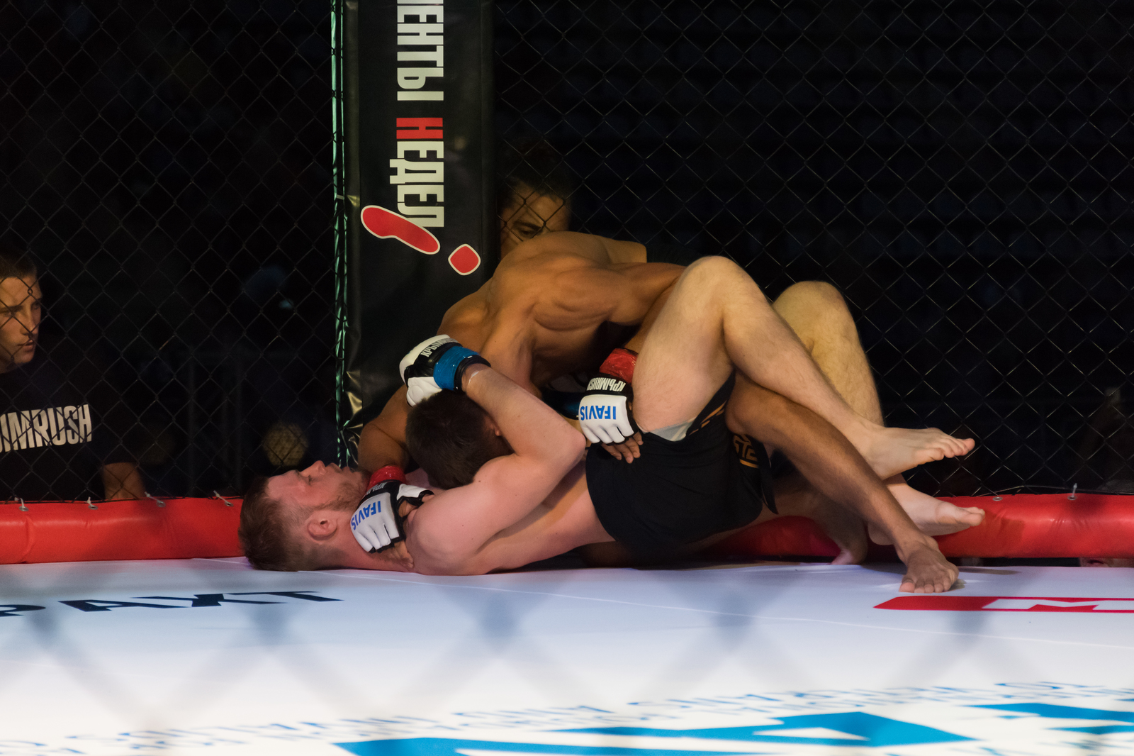 MMA - My, Beginning photographer, The photo, Photographer, Reportage, Sport, , MMA, Yalta, Longpost