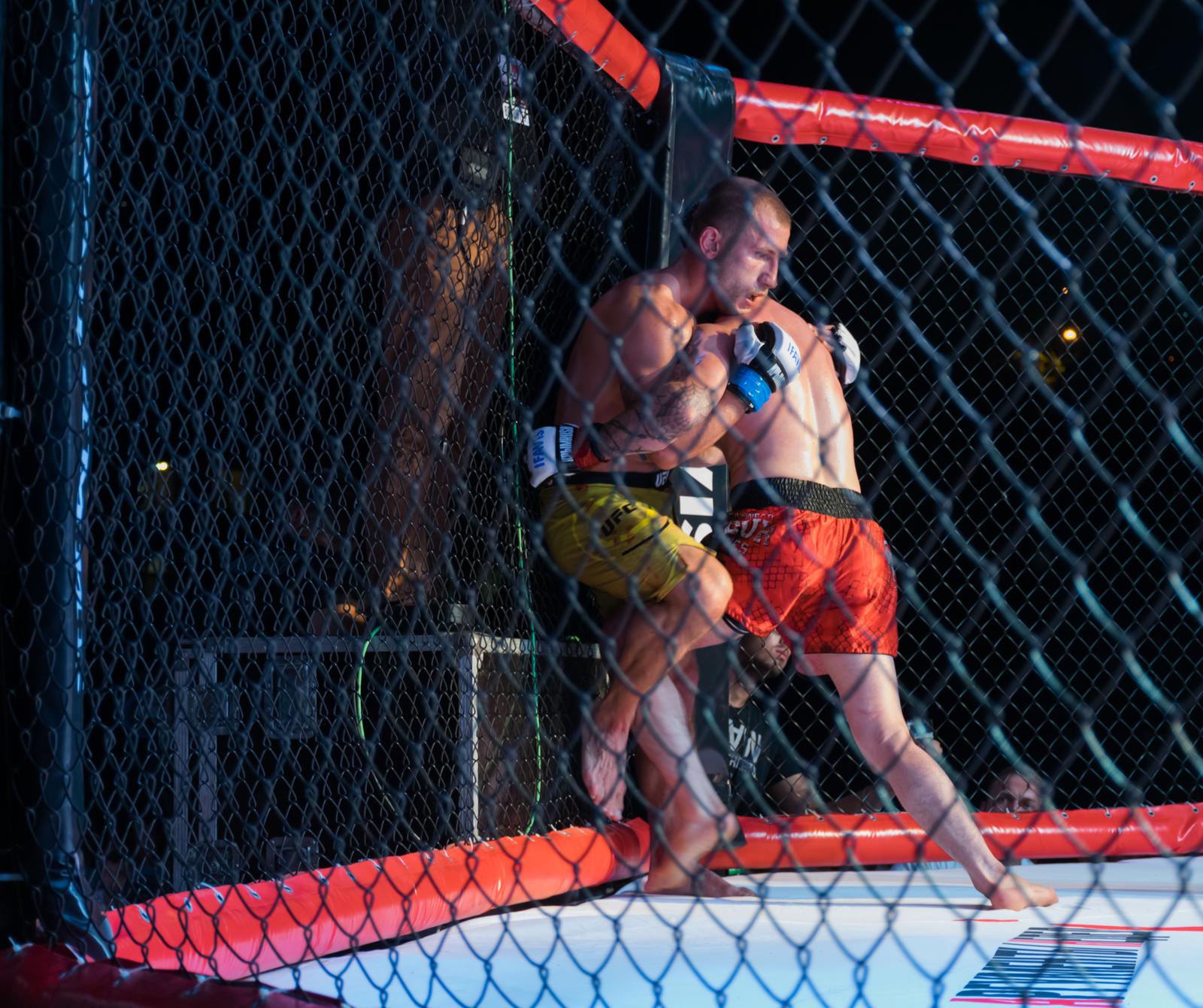 MMA - My, Beginning photographer, The photo, Photographer, Reportage, Sport, , MMA, Yalta, Longpost