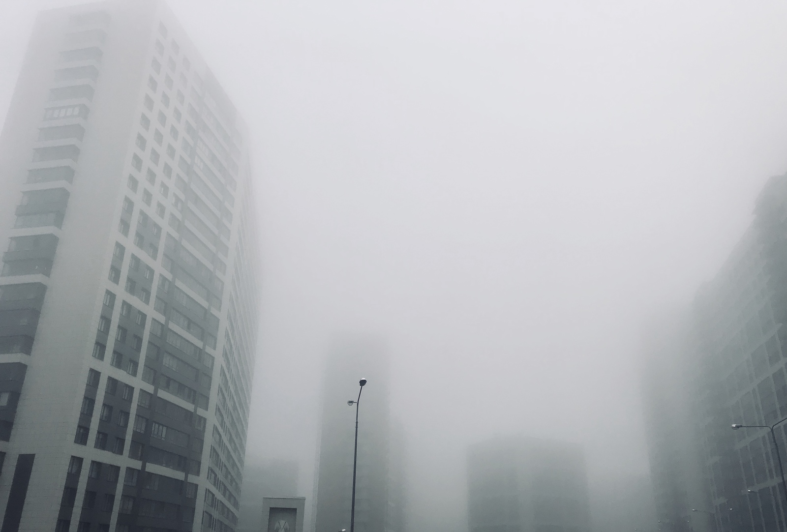 Conveyor at the slaughterhouse - My, The photo, Saint Petersburg, Morning, Fog, Longpost