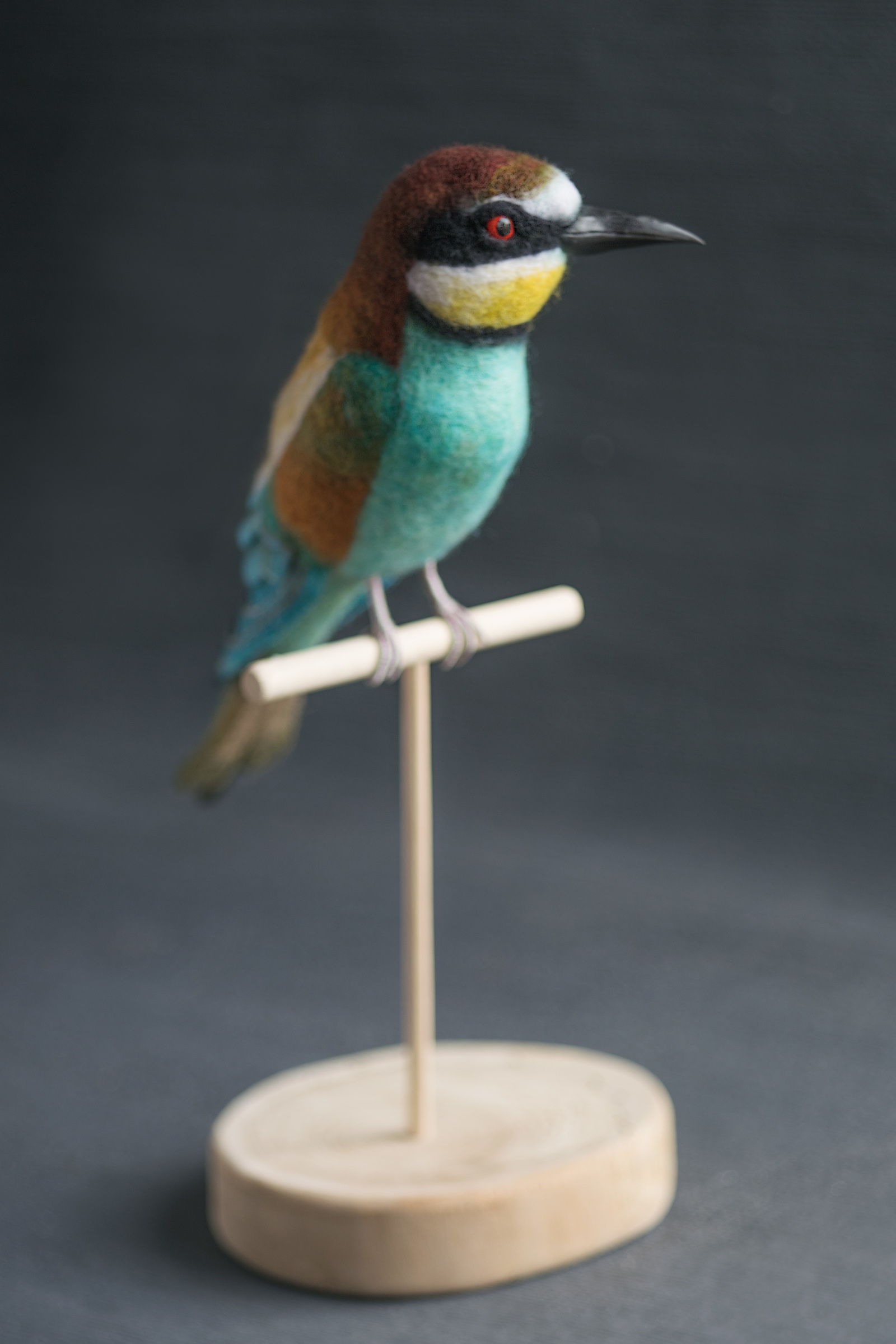 Felted bee-eater. With a brief description of the creation process - My, Needlework with process, Dry felting, Szczurka, , Wallow, Longpost