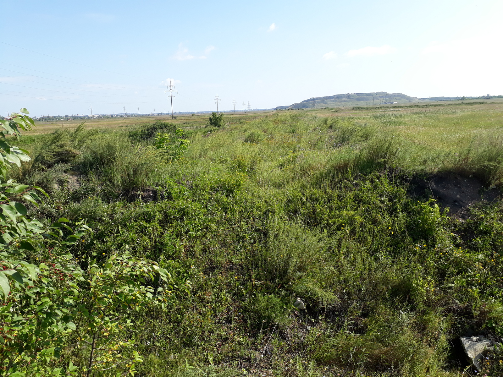 Railway Tayanda - Yemanzhelinsk - Korkino, which does not exist - My, , Railway, Station, Emanzhelinsk, Korkino, , Longpost