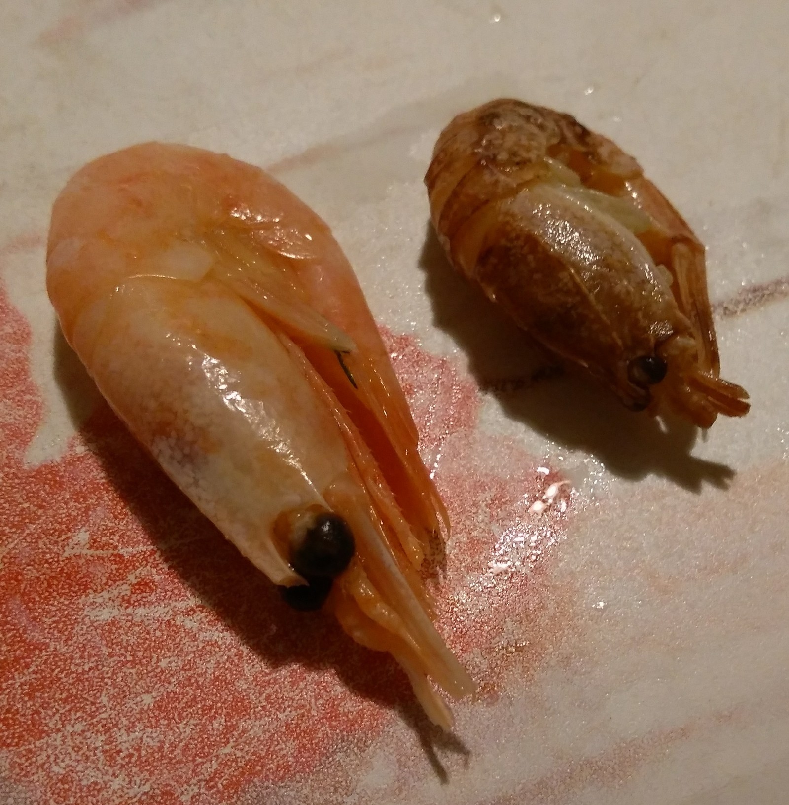 What is this Pokemon? - My, Shrimps, Dinosaurs, Seafood, Longpost