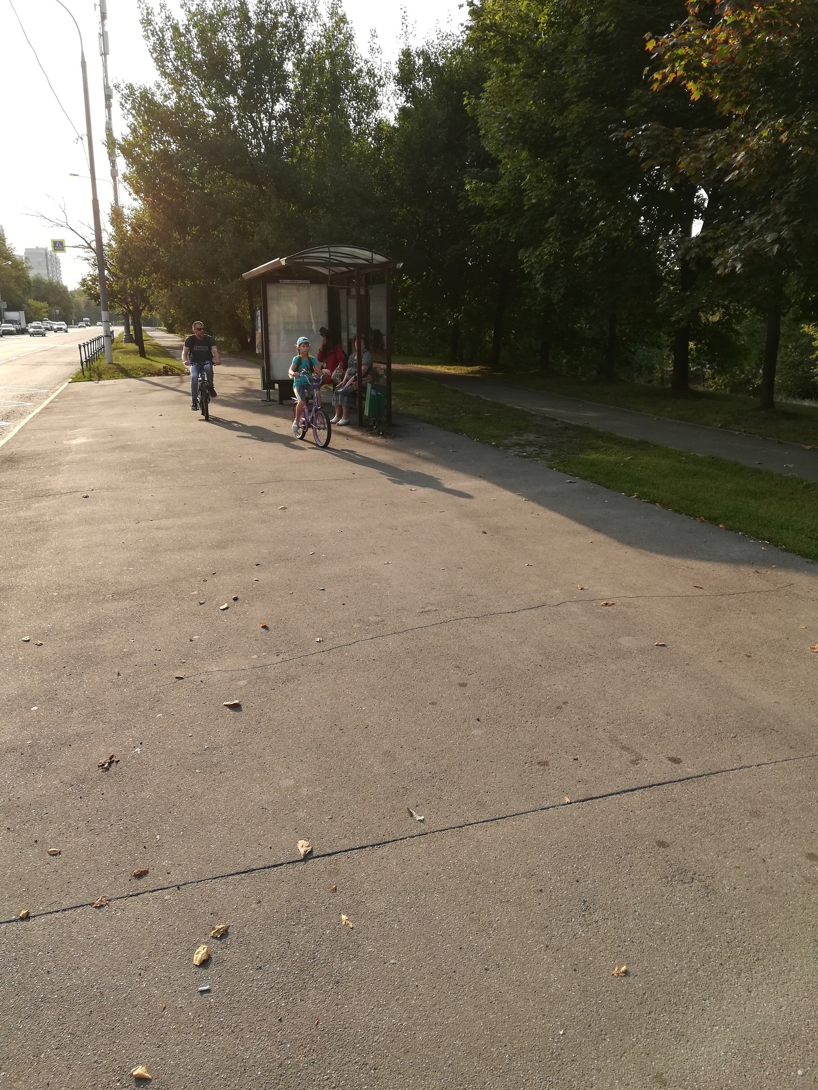 Parallel universe? - My, Cyclist, Sidewalk, Longpost