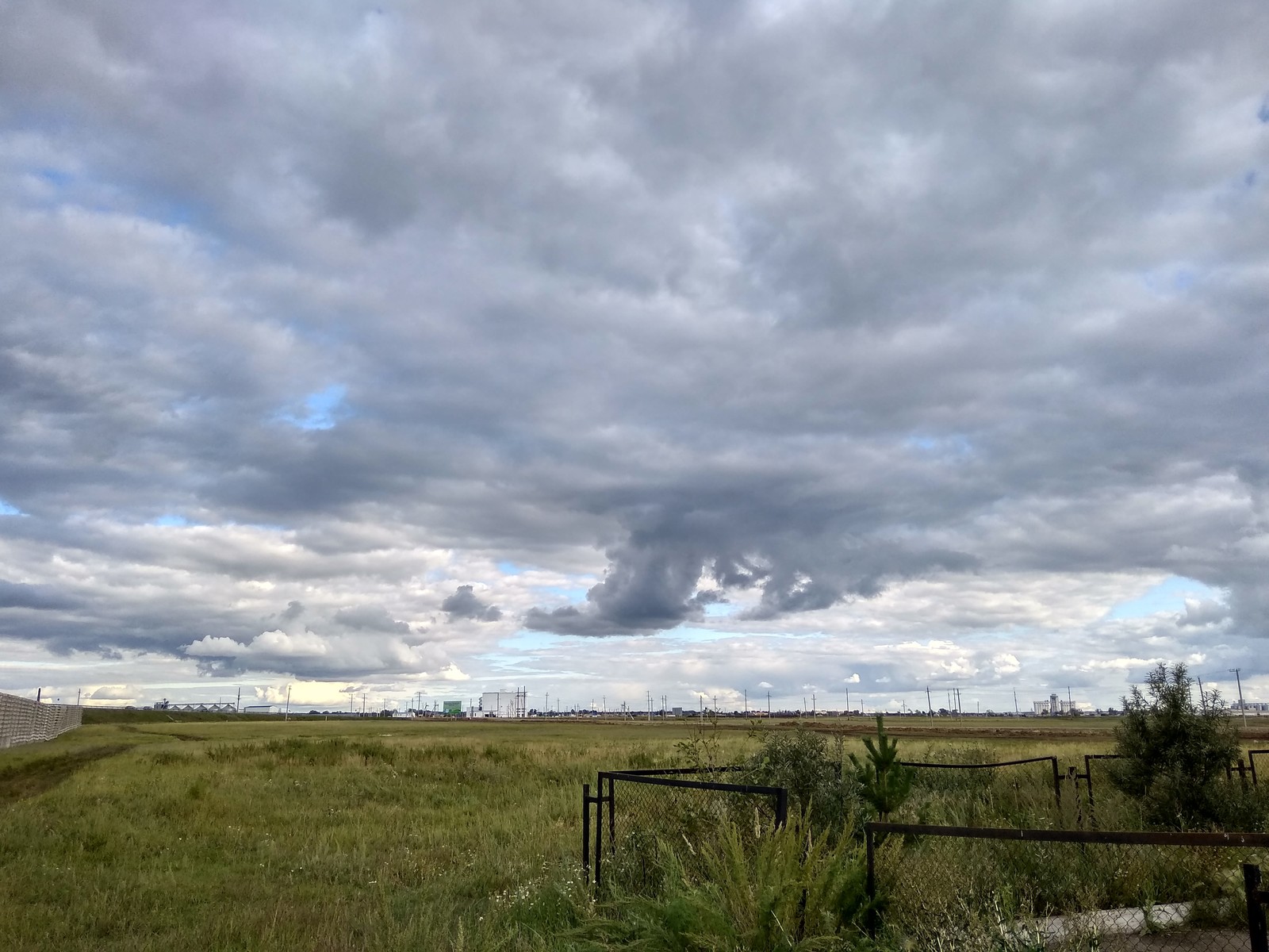 mushroom season. - My, Mushrooms, Nature, Kazakhstan, A1, Sky, Longpost