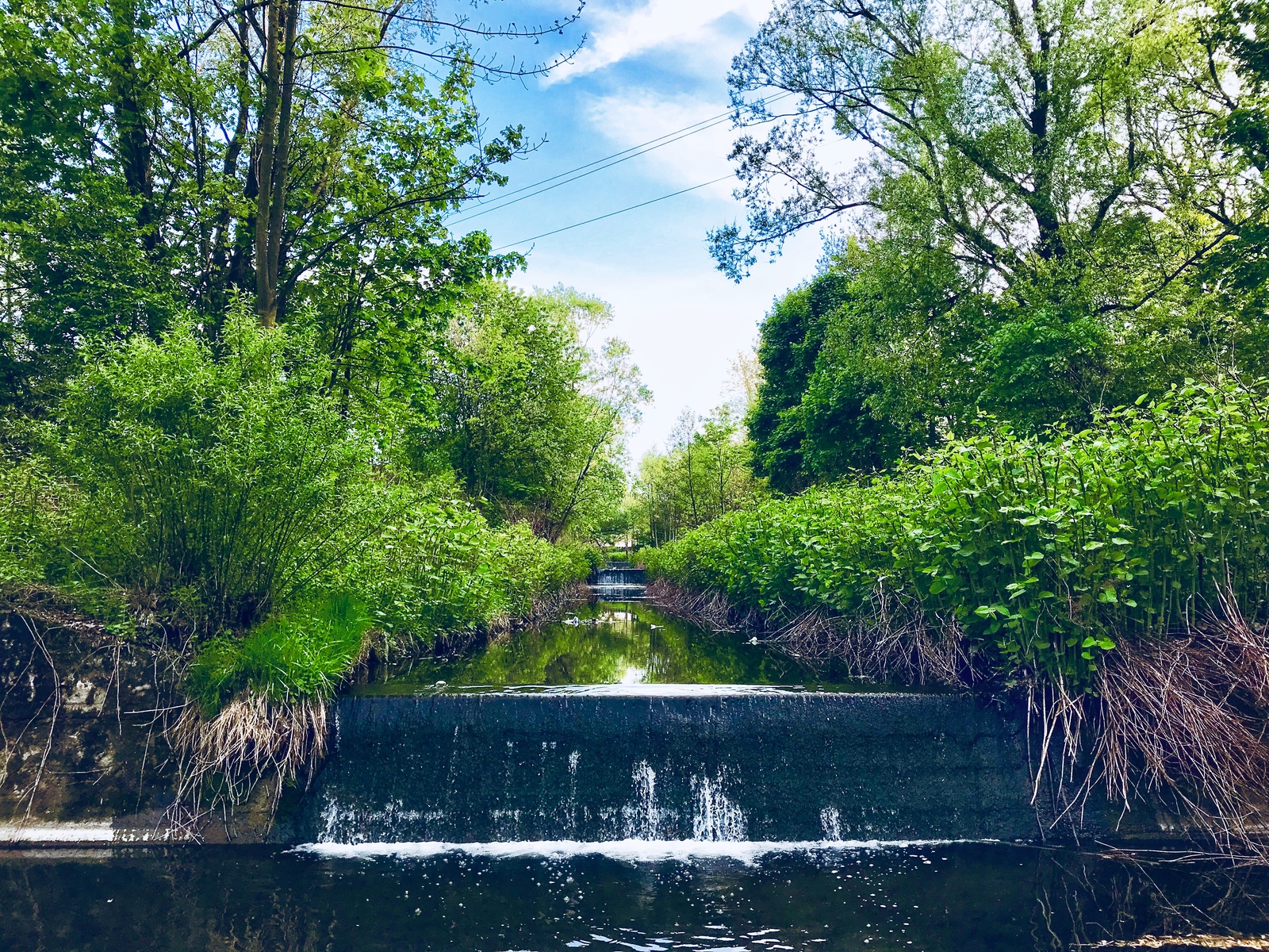 Poland - My, Poland, Nature