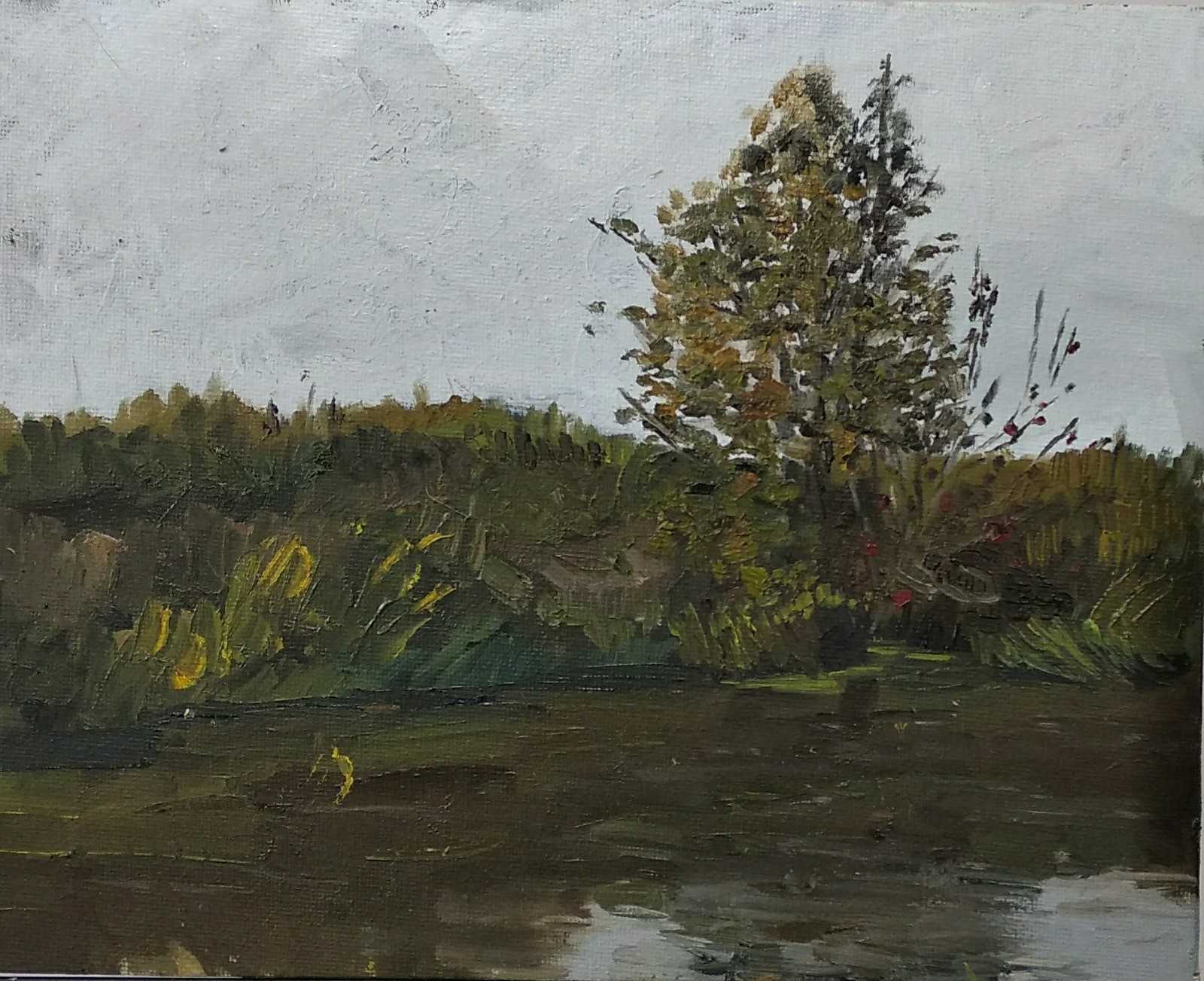 R. Sherna, early autumn - My, Etude, Painting, Butter, Canvas, River, Kirzhach, Sherna, Plein air