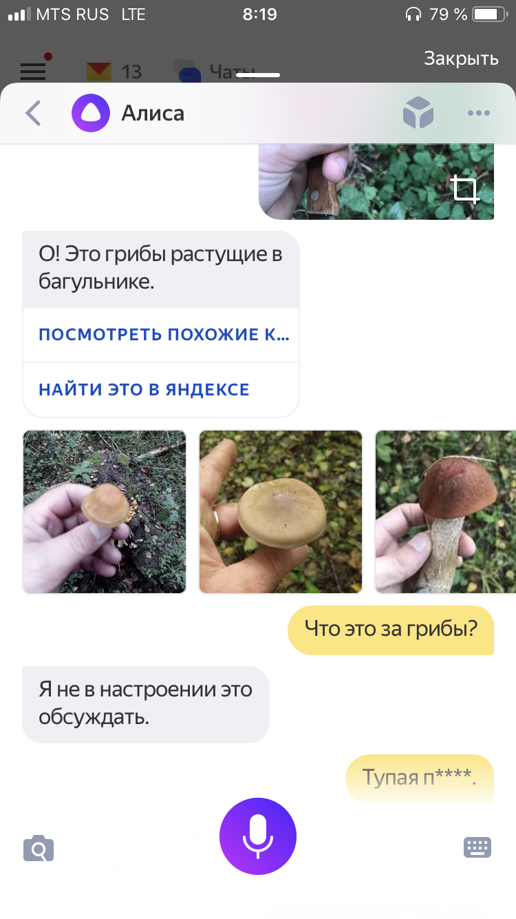 How to go mushroom picking in 2018 - My, Mushrooms, Mushroom pickers, Life hack, Longpost, Yandex Alice