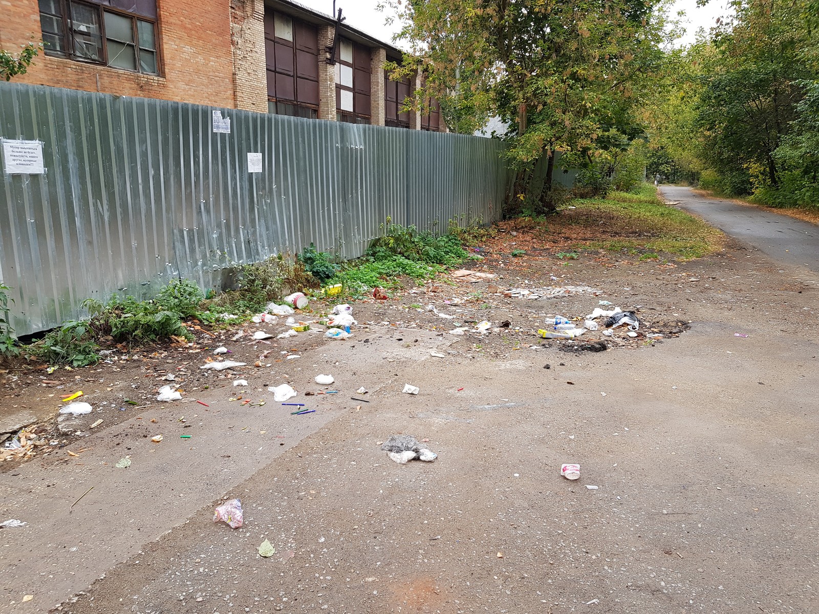 Pushkino near Moscow is buried in garbage - My, Garbage, Подмосковье, Pushkino, Problem, Disgusting, Inaction of the authorities, Trash heap, Longpost