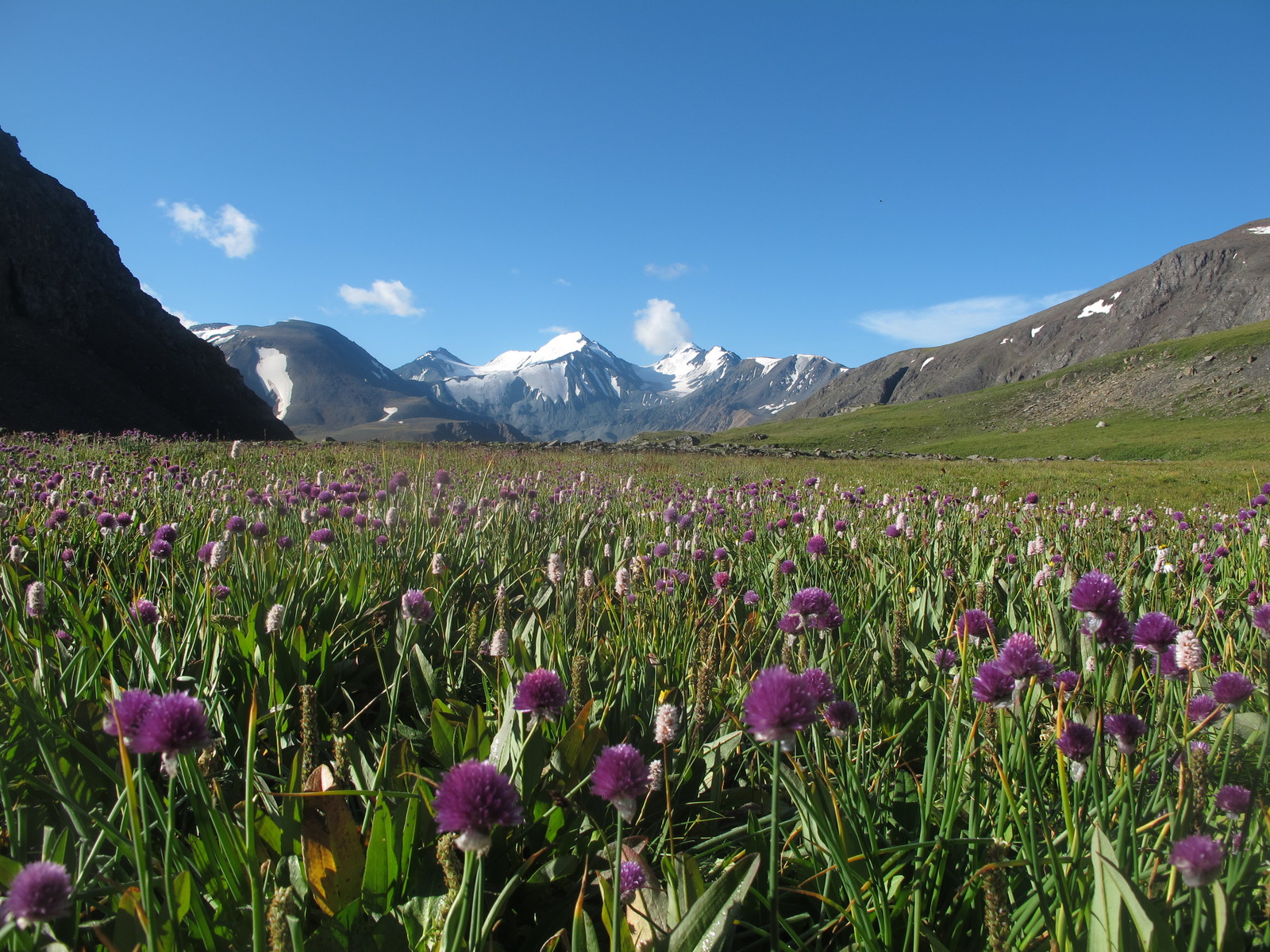 2018. Tyute, Dome, Abyl-Oyuk and Brother Kompot part 2 - My, Altai, Mountain Altai, Mountain tourism, Hike, Туристы, The mountains, Travel across Russia, Video, Longpost, Altai Republic