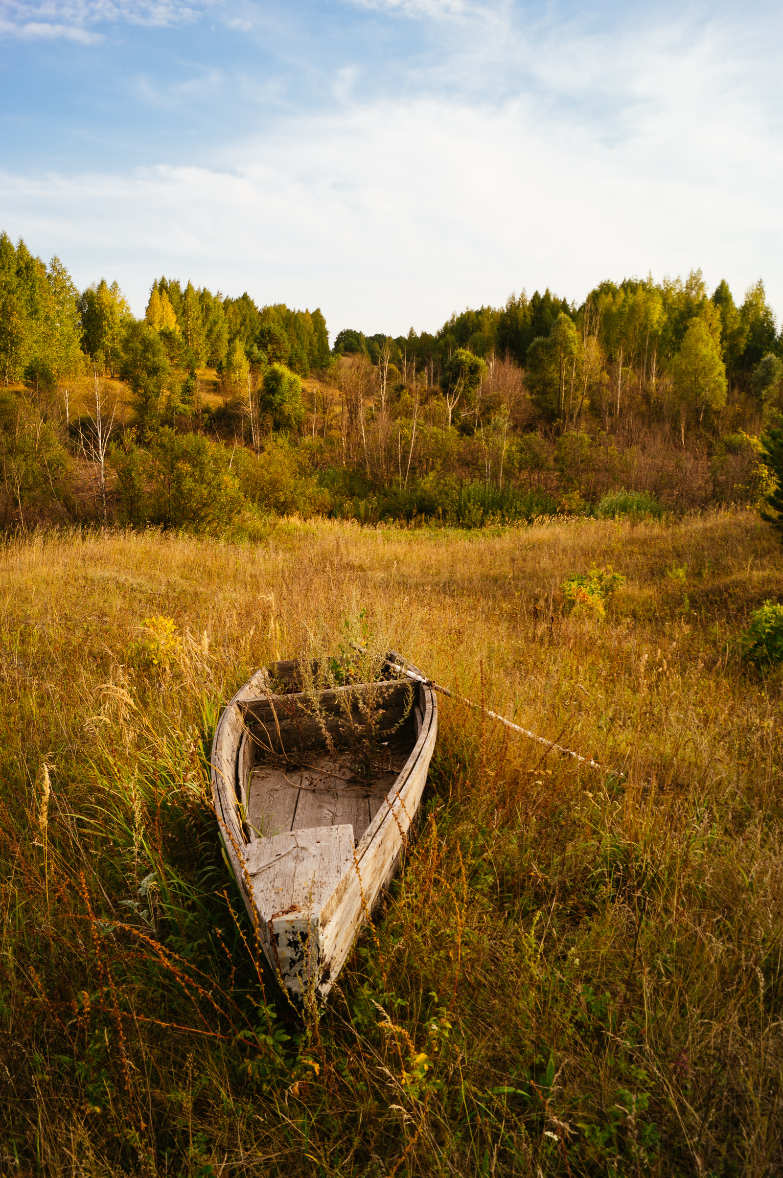 A boat - My, A boat, Autumn, Nature, Landscape, Grass