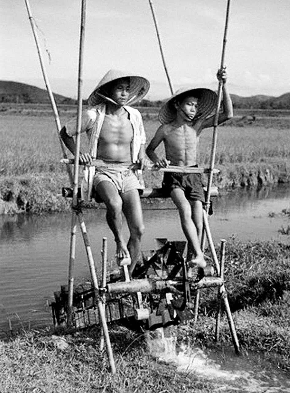 A father and son supply water to a rice field, Vietnam, 1952. - The photo, Vietnam