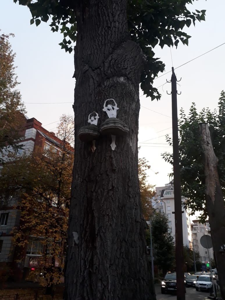 Human imagination is limitless - My, Yekaterinburg, Tree, Fantasy, Longpost, Tinder, Ballerinas, Accordion, Pareidolia, Repeat