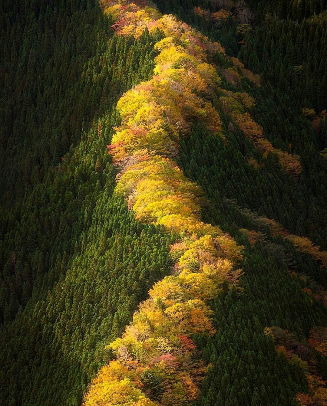 Beginning of autumn in Japan. - Autumn, The photo, Interesting, Nature, beauty of nature, Japan, beauty