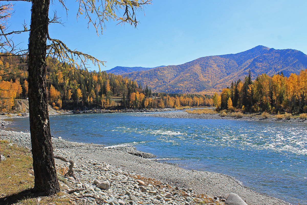 Katandinsky autumn - My, Altai, Autumn, The mountains, Katun, Altai Republic