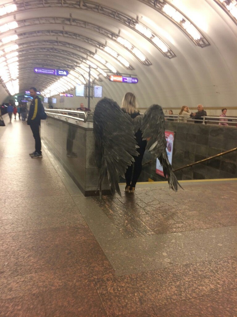 Типичное петербургское метро-2 - Забавные персонажи, Пассажиры, Длиннопост, Метро, Санкт-Петербург, Фотография, Кот