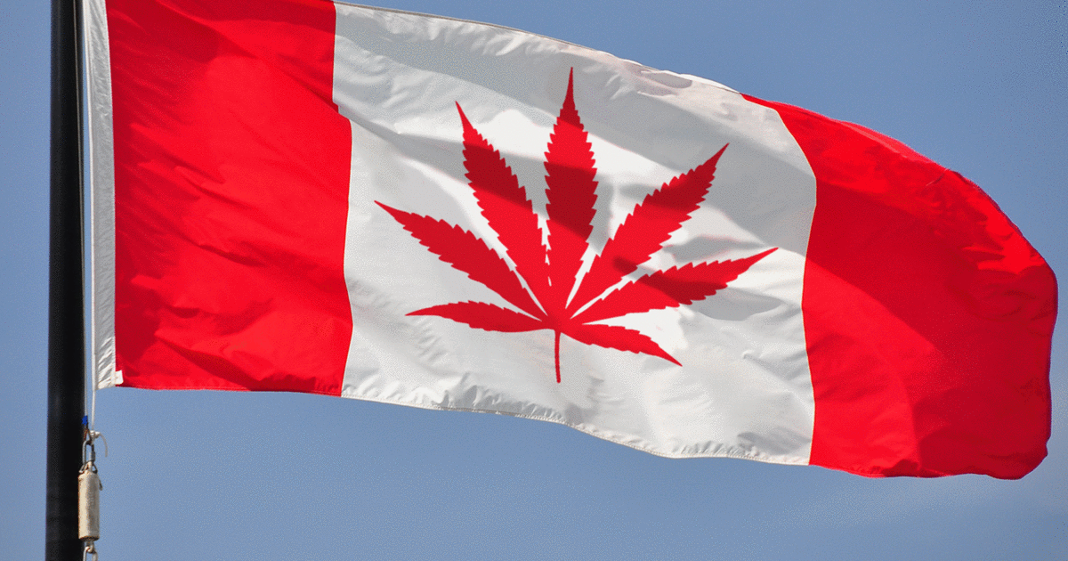 Конопля канада наркотик тапки