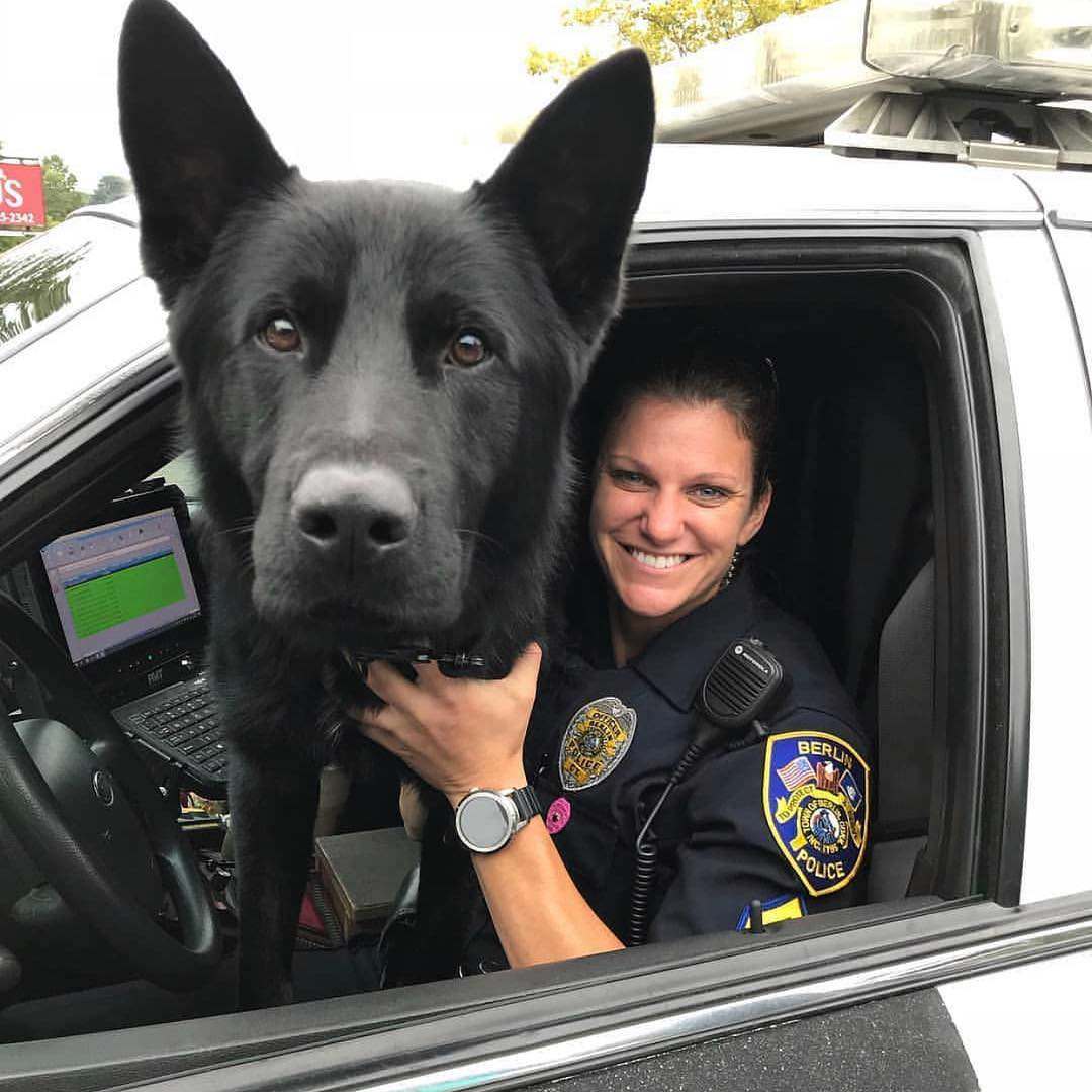 Your documents! - Dog, The photo, Police