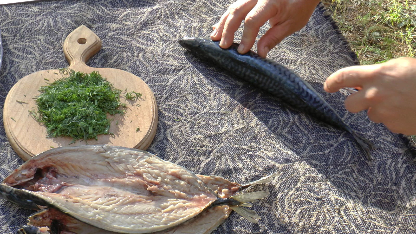 How to quickly gut a mackerel - My, Video, Butchering, Mackerel