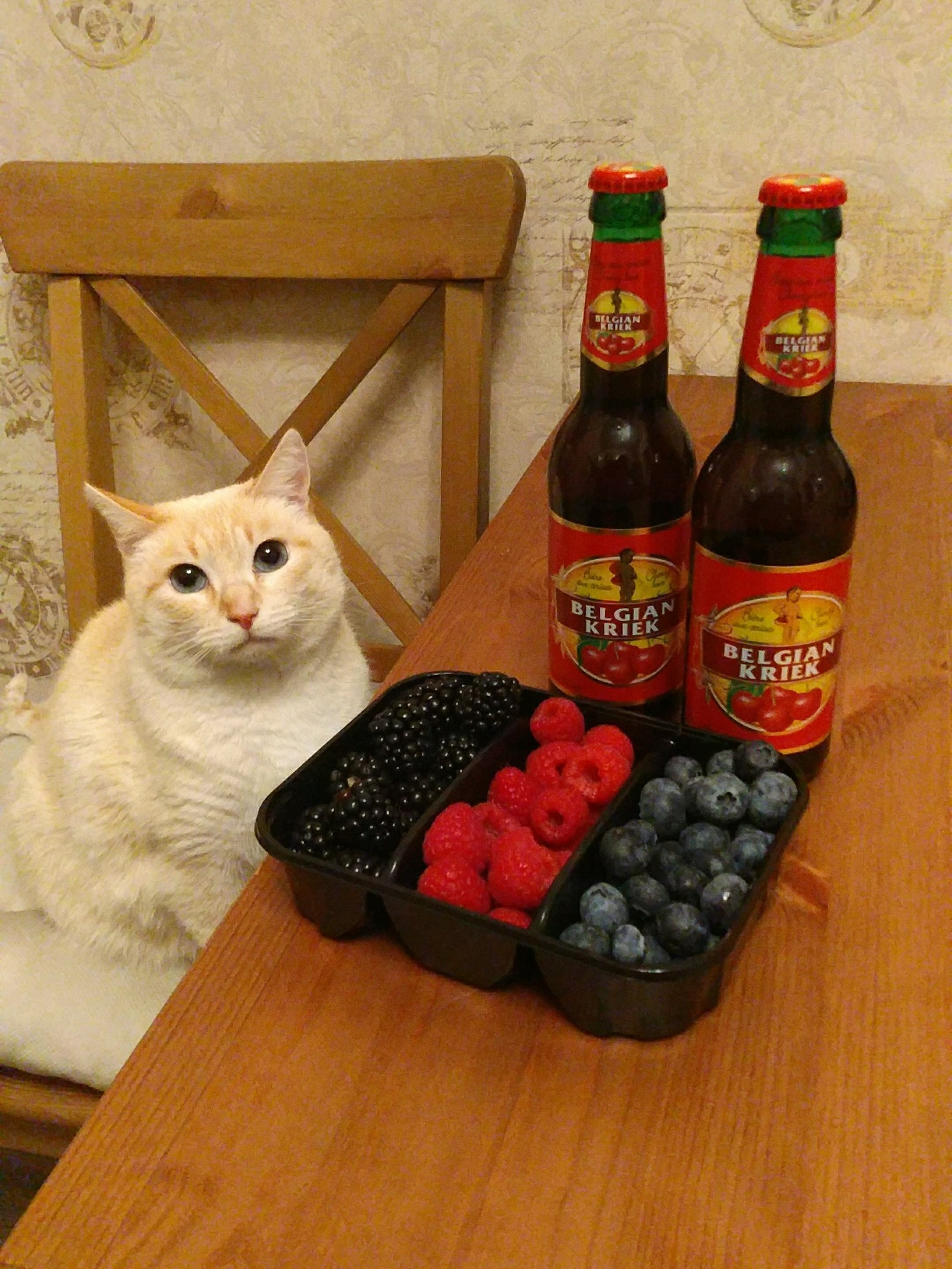 Kitty didn't appreciate - My, cat, Berries