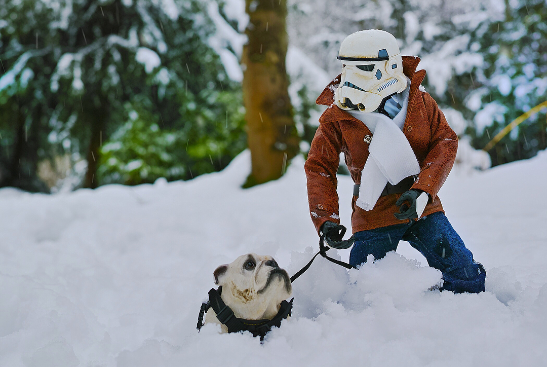 The Life of a Star Wars Toy Stormtrooper, Photographed by Darryll Jones - Star Wars, Star Wars I: The Phantom Menace, A selection, Longpost, Jointed doll