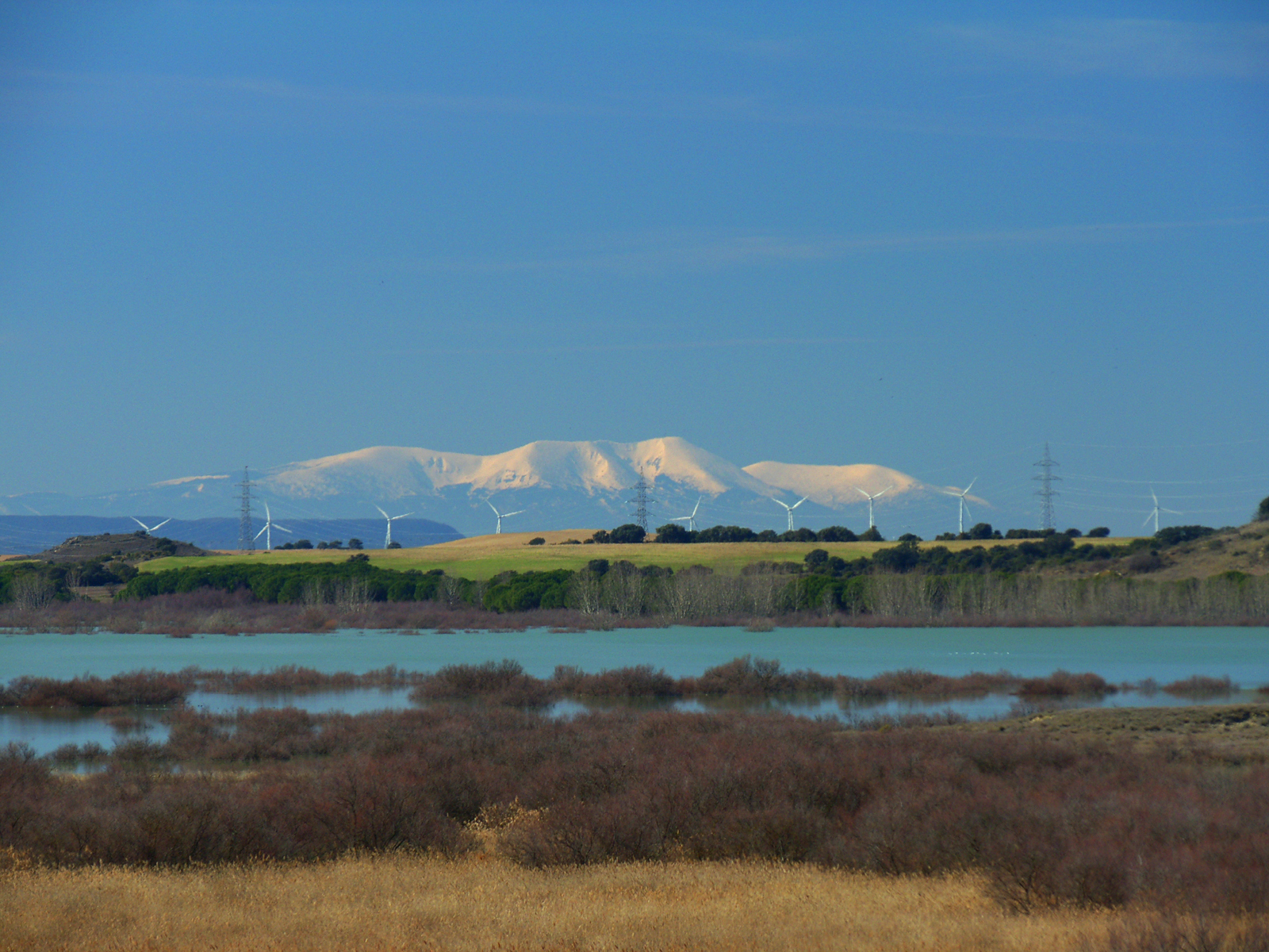 Spanish Outback: La Sotonera Reservoir and Migratory Cranes - My, Spain, Tourism, Cranes, Ornithology, Abroad, Living abroad, The photo, Longpost