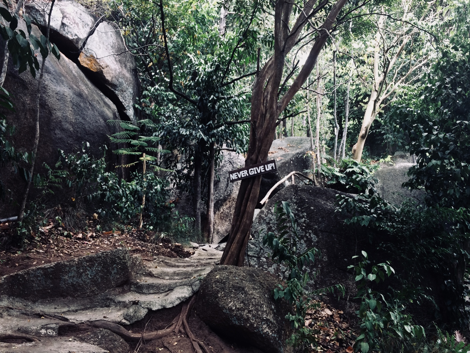 Samui | Пикабу