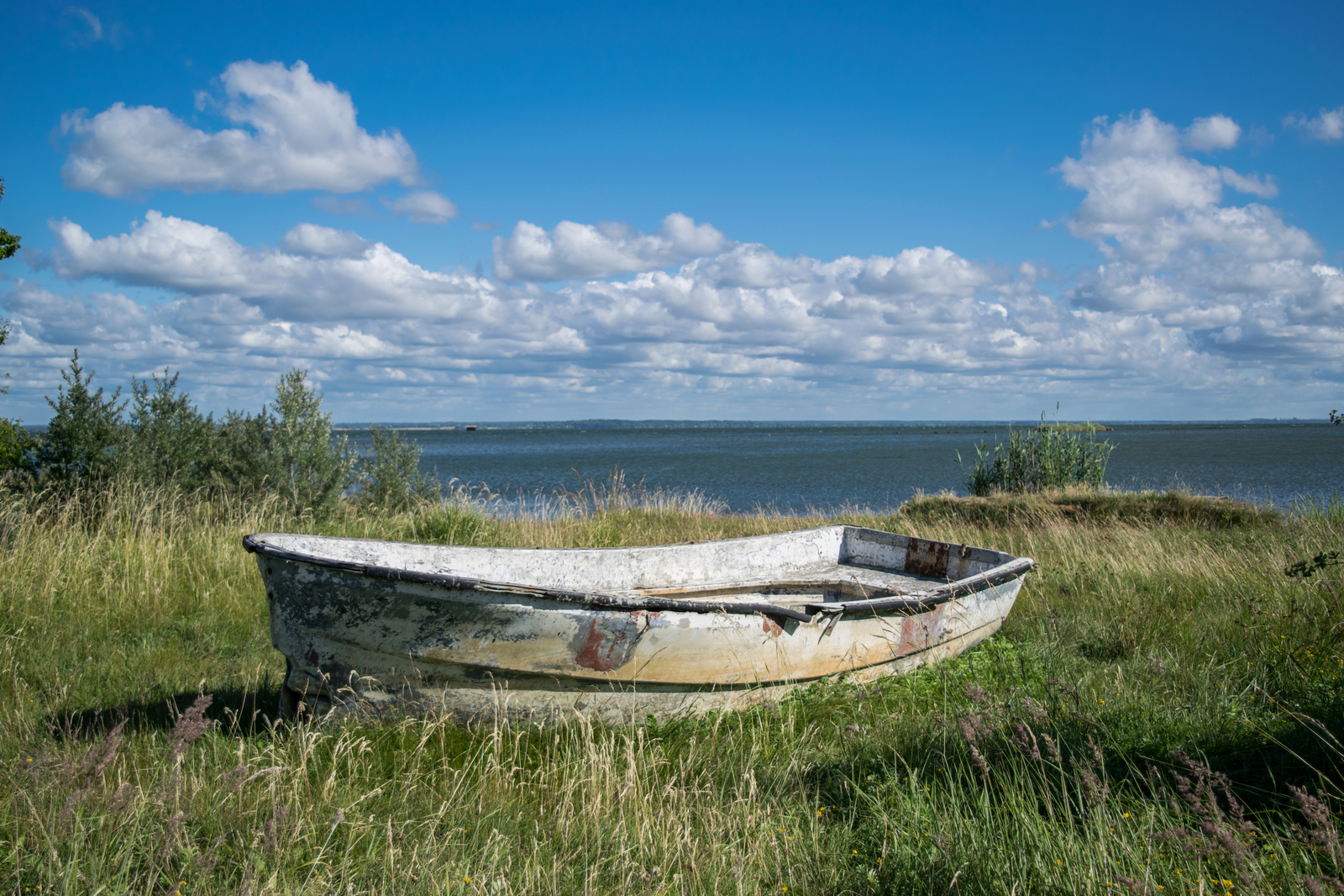 Baltic details - Моё, Фотография, Море, Начинающий фотограф, Природа, Балтийская коса, Длиннопост