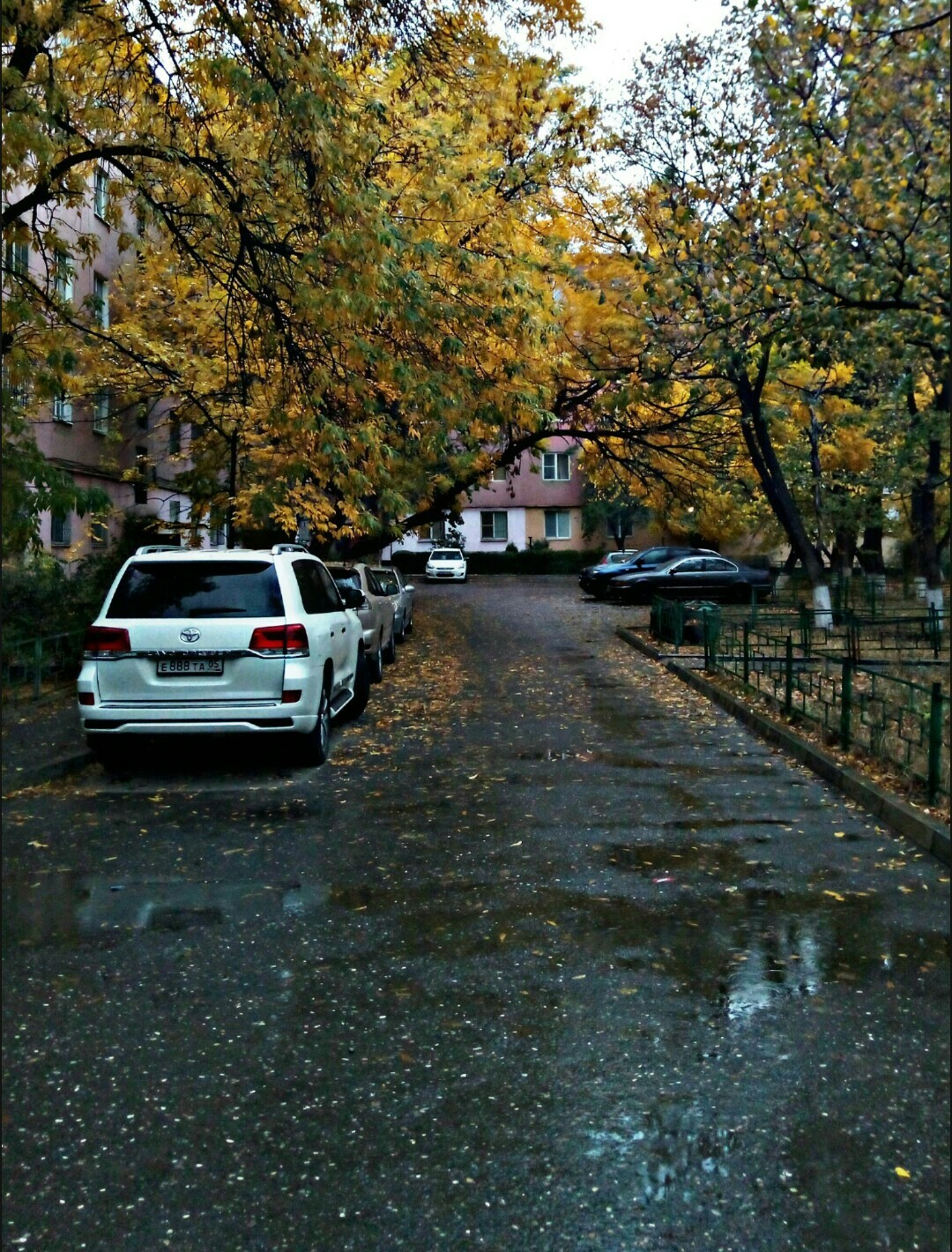 Фото Дождливого Осеннего Дня