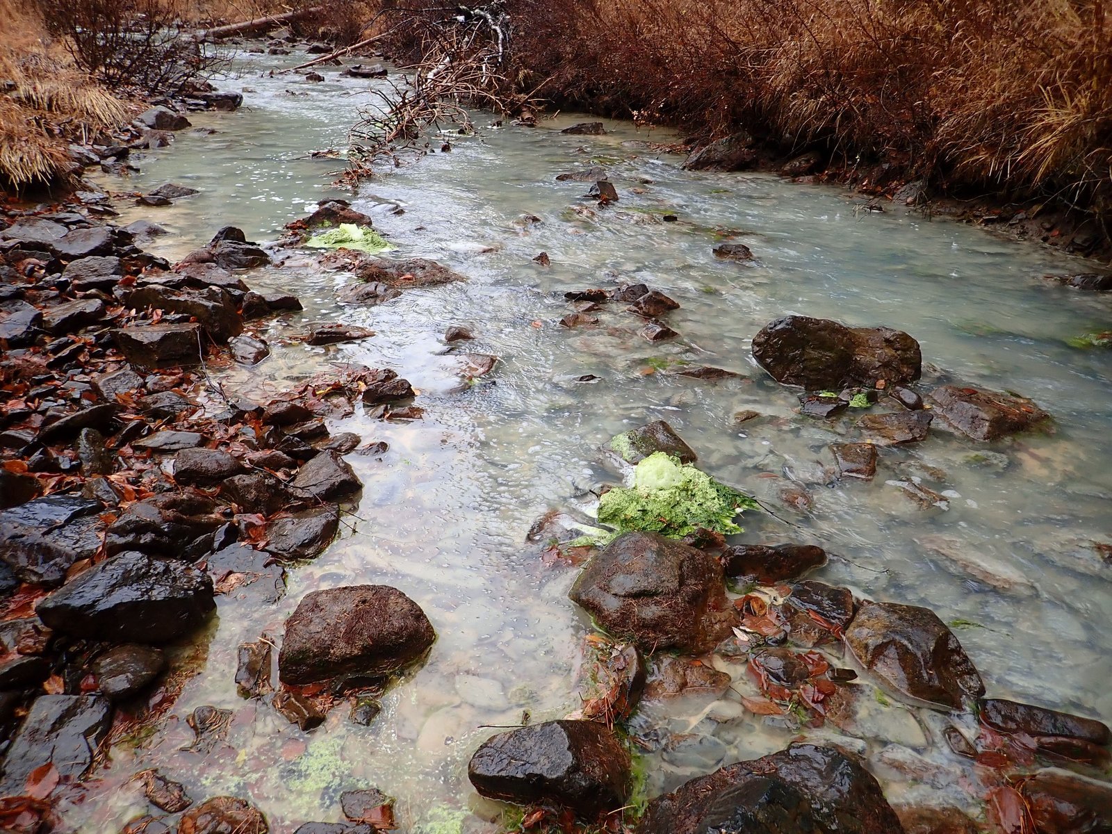 Poisoned rivers, nature reserve and persecution of environmentalists in the Urals - Ecology, Ural, Reserve, River, Environmental pollution, Longpost, Reserves and sanctuaries