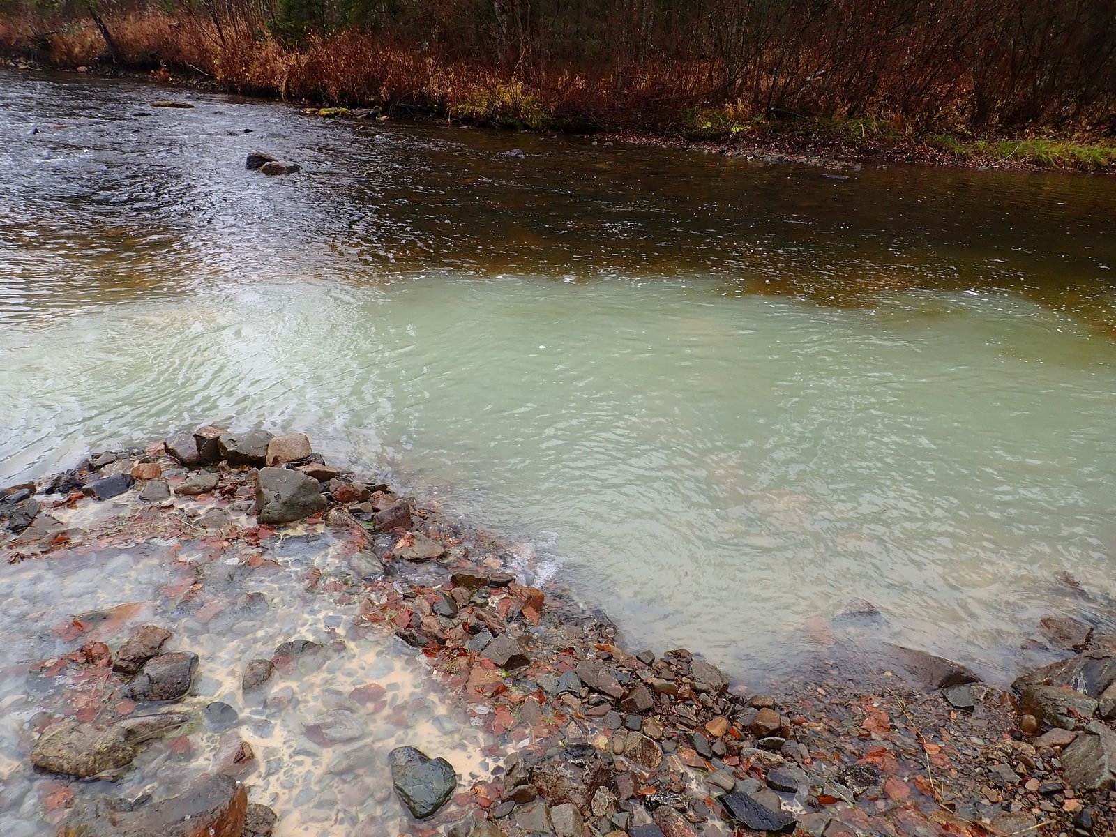 Poisoned rivers, nature reserve and persecution of environmentalists in the Urals - Ecology, Ural, Reserve, River, Environmental pollution, Longpost, Reserves and sanctuaries