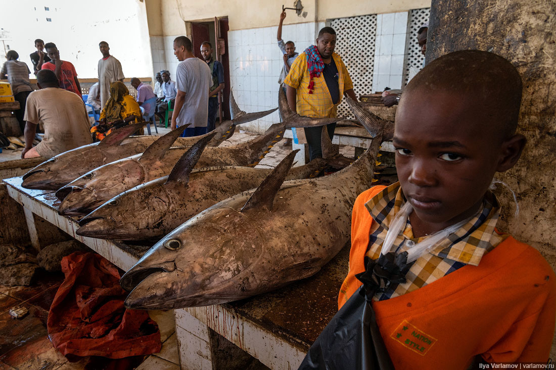 Fish market in Mogadishu - Somalia, Africa, Ilya Varlamov, Travels, Copy-paste, Longpost