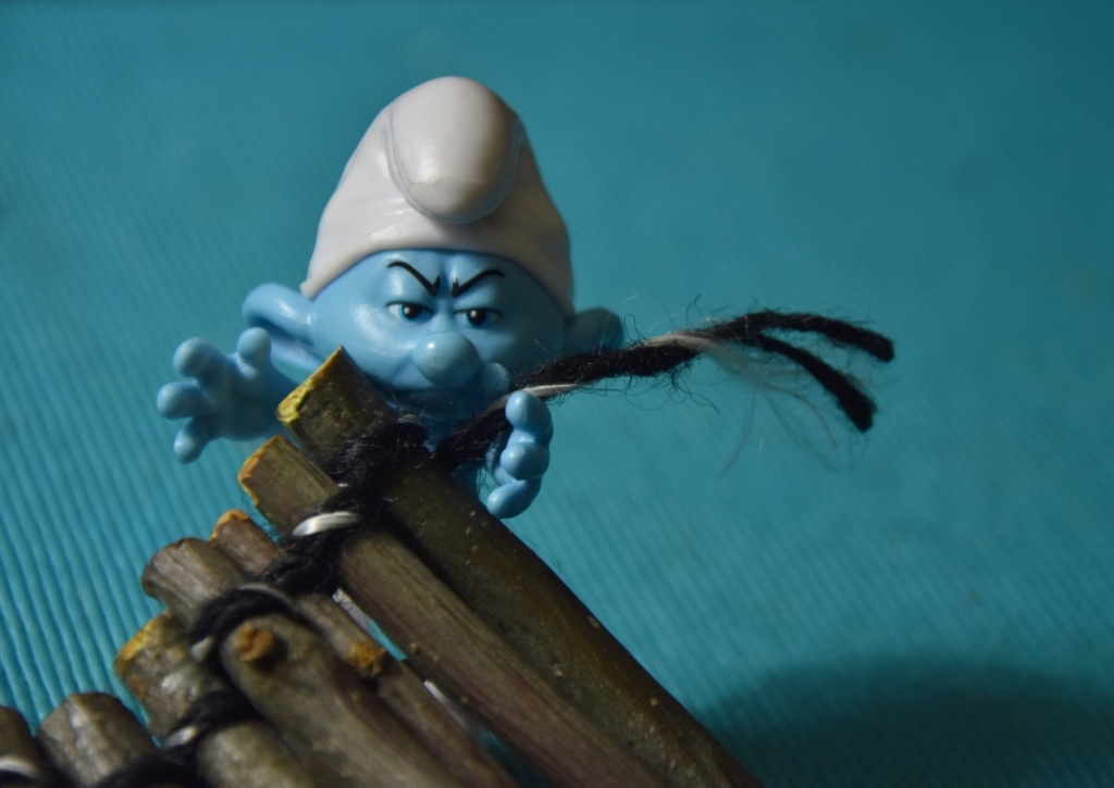 Smurf and MOST. - My, Bridge, The smurfs, Macro photography, Photographer, Longpost, Houseplants, With your own hands