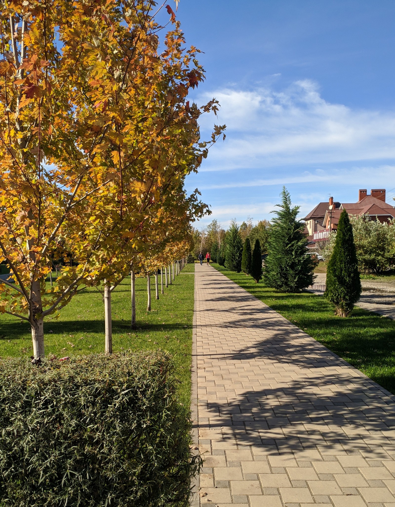 Warm southern autumn - My, Krasnodar, The photo, Autumn, Longpost