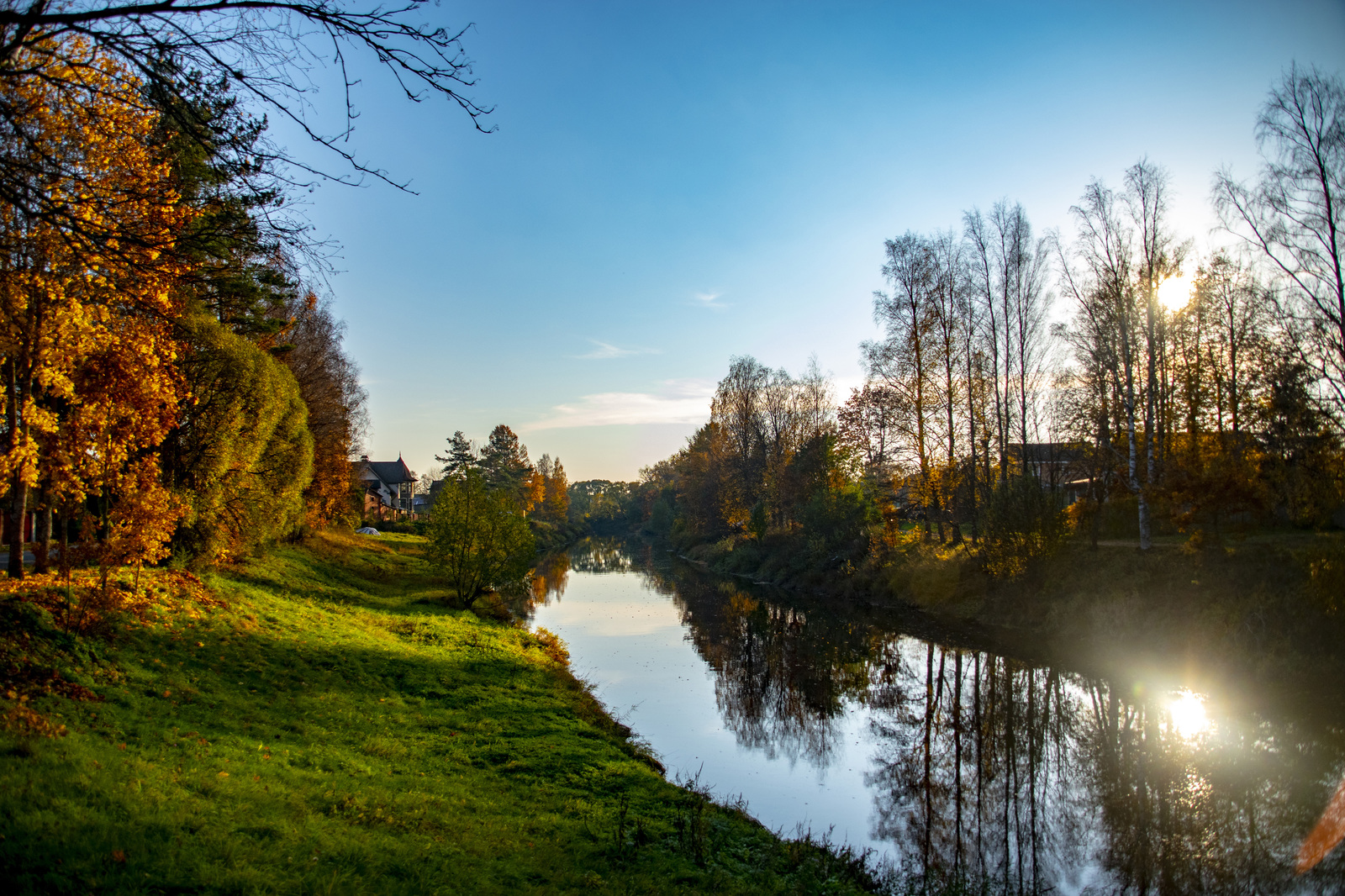 Autumn in Tosno - My, The photo, Autumn, Tosno, October, Nature, Longpost