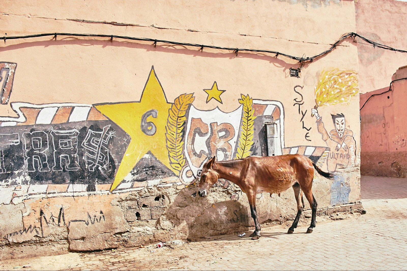 Circle Morocco: Tanneries of Marrakech - My, Travels, Longpost, Morocco, Marrakech, Leather, Arabs