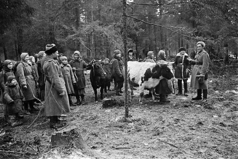 Great Patriotic War 1941-1945. - The Great Patriotic War, To be remembered, War correspondent, Shaikhet Arkadiy Samoylovich, Longpost