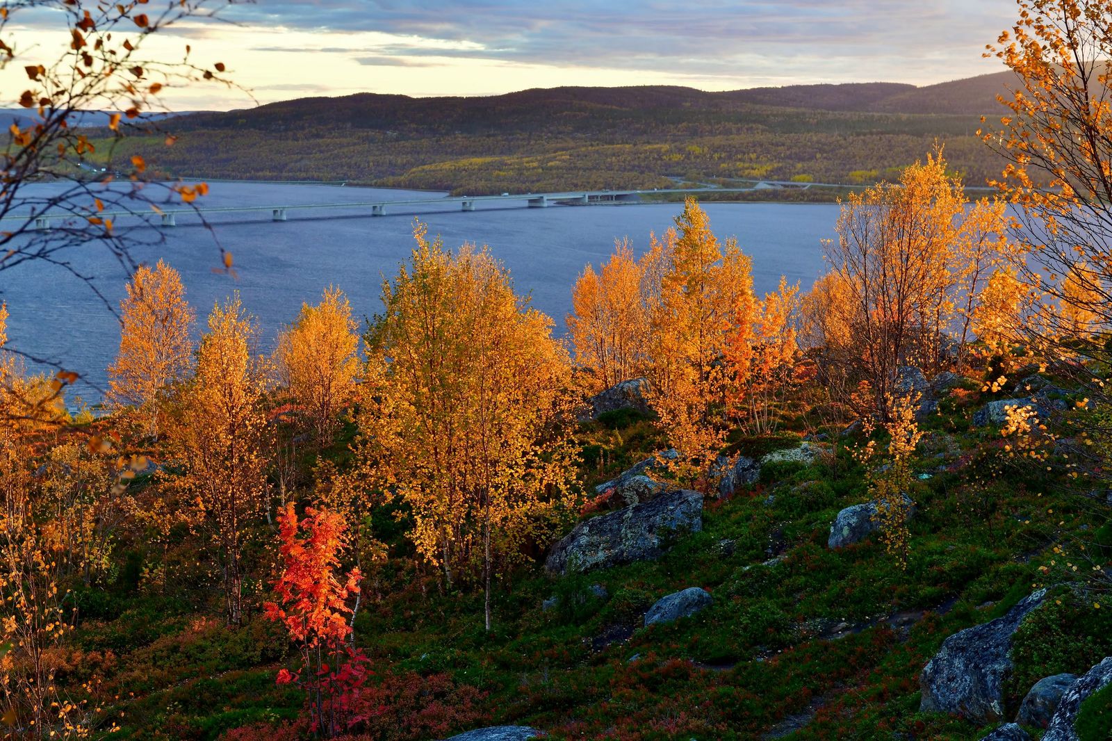 Осенний Мурманск Фото