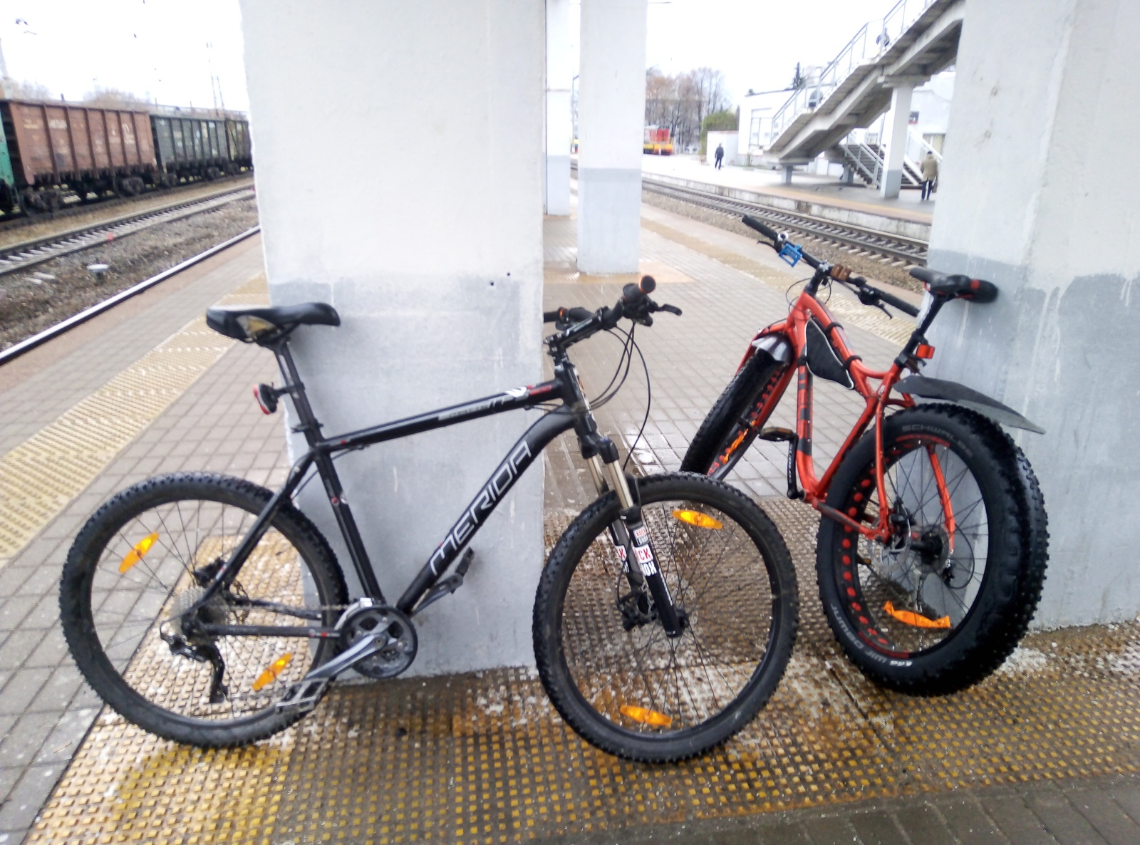 One November day... - My, A bike, The photo, Autumn, Nature, Bike ride, Moscow region, Longpost