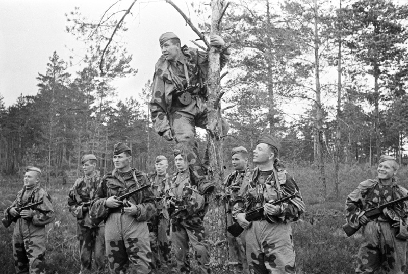 Great Patriotic War 1941-1945. - The Great Patriotic War, To be remembered, War correspondent, Shaikhet Arkadiy Samoylovich, Longpost